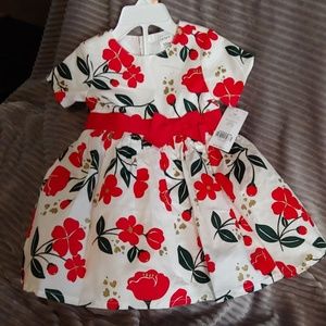 Baby Girls Dress with diaper cover